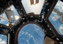 Кинорежиссер Клим Шипенко, побывавший на МКС, рассказал, что в следующий раз может выйти за пределы космической станции, чтобы снять кадры открытого космоса