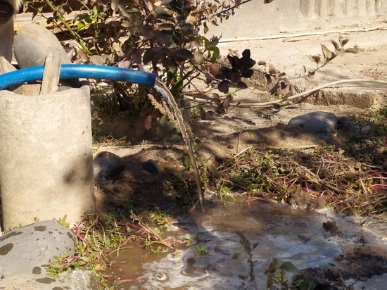 «Эту воду даже коровы и собаки не хотели пить»: ситуация с водоснабжением в Наримановском районе начала налаживаться