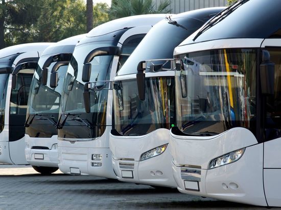 В Петербурге с 2022 года запустят более 90 новых автобусных маршрутов
