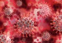 В Забайкалье вторые сутки подряд подтверждается по 9 летальных случаев от коронавируса