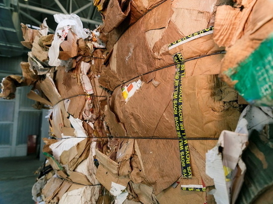В Мурманской области 180 тонн отсортированной макулатуры сохранили два миллиона деревьев