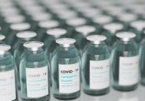 В России планируют создать две назальных вакцины от коронавируса на основе препарата «Спутник V»