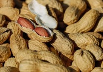Традиционно орехи воспринимались как нездоровая пища из-за высокой калорийности