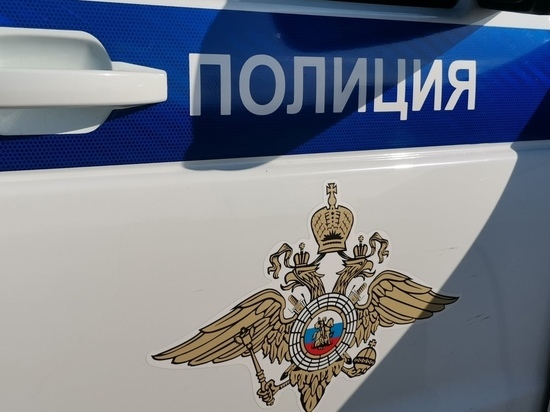 Подруга-воровка: полиция в Новомосковске разбирается в краже