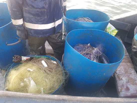 В Волгоградской области пресекли незаконную добычу рыбы