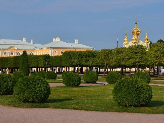 Какие общественные пространства и парки будут доступны для петербуржцев без QR-кода