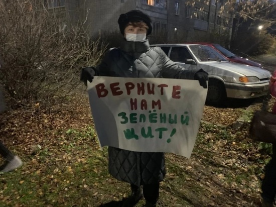 Владимирский бизнесмен лишил жителей Ярославля аллеи