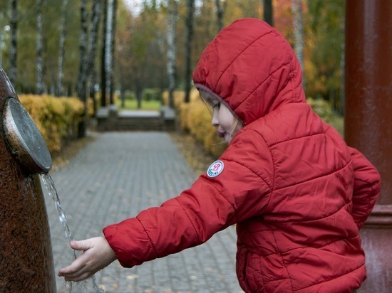 29 октября в России отмечают день комсомола и день зрения