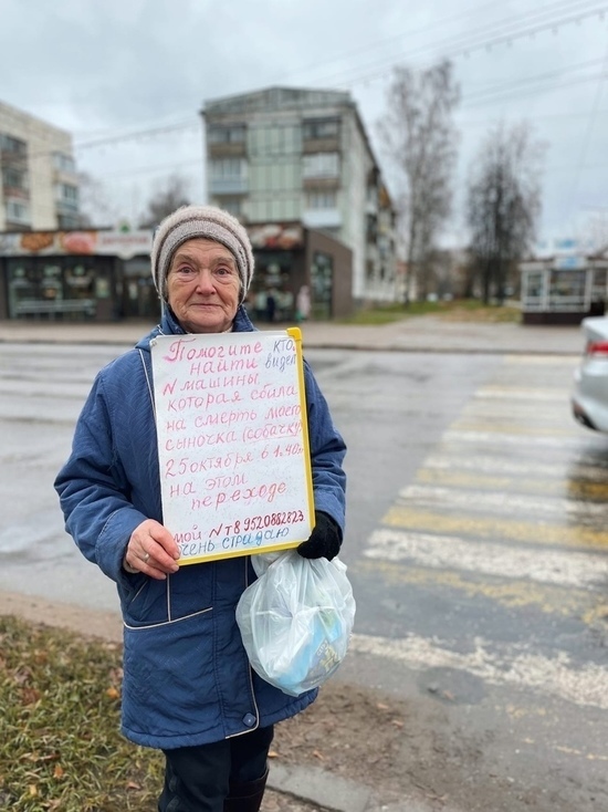 «Очень страдаю»: в Тверской области бабушка вышла с плакатом к месту, где сбили ее пса