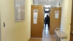 В Ангарске задержан председатель КУМИ