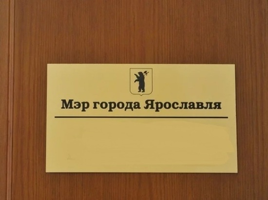 Ярославские оппозиционеры просят не увольнять мэра Ярославля