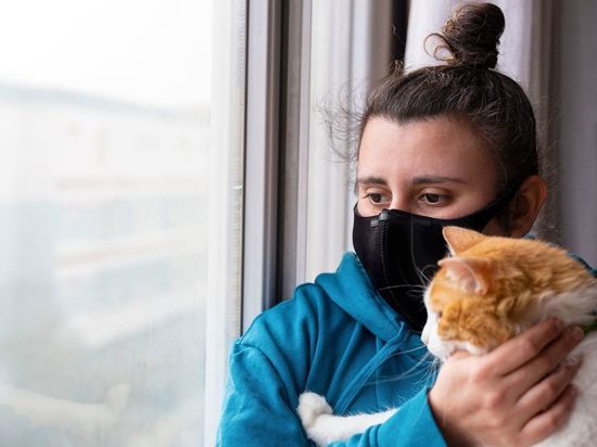 Как будут работать кафе и рестораны в Ленобласти с 30 октября по 7 ноября