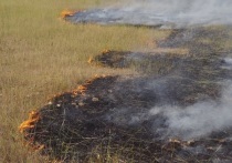 Неконтролируемые палы травы все чаще угрожают домам и хозпостройкам в Забайкалье