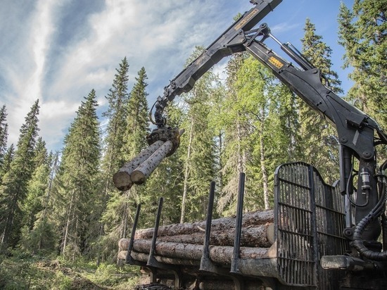 Segezha Group приступила к ответственному лесопользованию в Костромской области