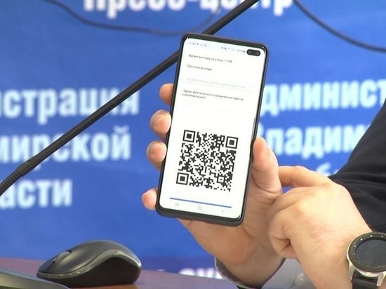 В 33 регионе планируют ввести QR-коды для ТЦ
