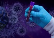 За прошлые сутки коронавирус обнаружен у 352 забайкальцев, вылечены 223, подтверждено 3 летальных случая