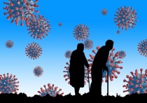 За минувшие сутки в Алтайском крае выявили 464 новых случая заболевания коронавирусной инфекцией