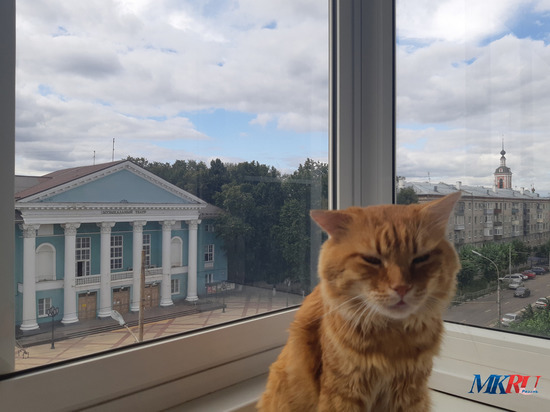 31 октября в Рязанской области будет облачно и до +14