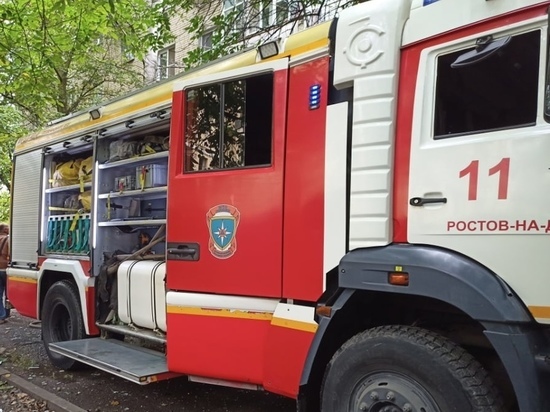 Крупный пожар произошел на заброшенной базе отдыха в Ростове
