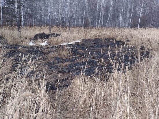  Пожар на площади 1500 квадратных метров устроили неизвестные под Красноярском