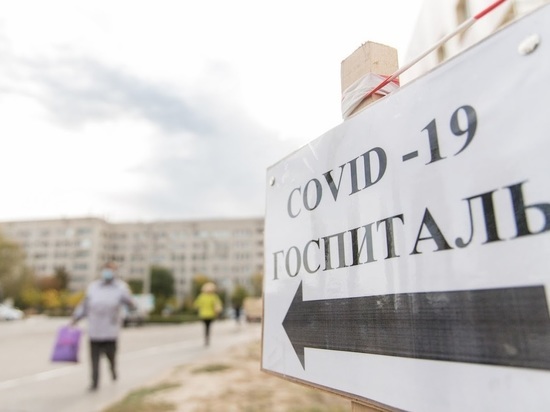 Волгоградская область установила новый рекорд по заражению COVID-19