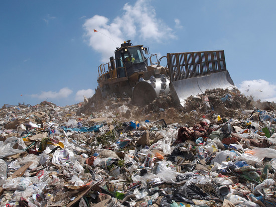 На вывоз отходов с несанкционированных свалок в Тосненском районе потратят 3 млн рублей