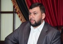 Руководитель самопровозглашенной Донецкой народной республики (ДНР) Денис Пушилин рассказал о том, что Украина всерьез готовится к войне