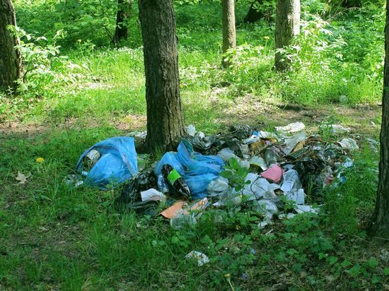 Экологи обеспокоились состоянием заказника Заневка в Ленобласти