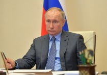 Средняя температура в России растет быстрее общемировой, рассказал президент РФ Владимир Путин