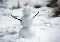 Зима пришла в Томскую область резко и обосновалась надолго: первая неделя ноября будет отмечена обильными снегопадами.