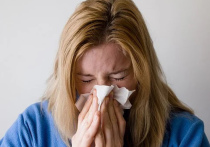 Последний месяц осени может принести различные простудные заболевания