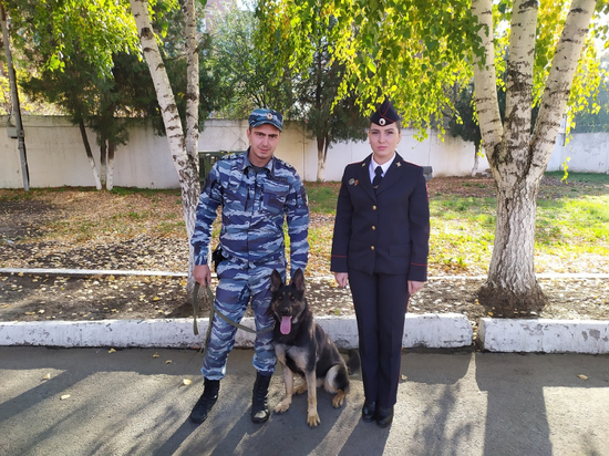 Служебная собака помогла найти пропавшую жительницу Кубани
