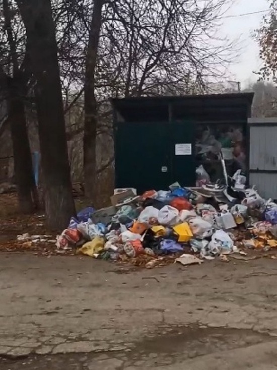 В центре Владимира растет мусорная гора