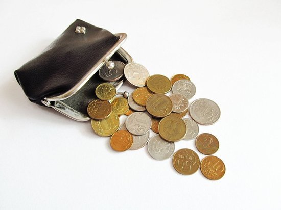 Руководитель компании не выплатил сотрудникам более 700 000рублец по зарплате