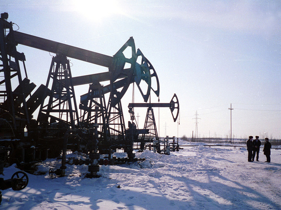 В ответ на слова Путина США задумали обрушить цены на нефть