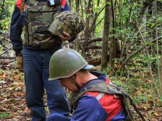 Две ручные гранаты времен войны обезвредили саперы в Смоленской области
