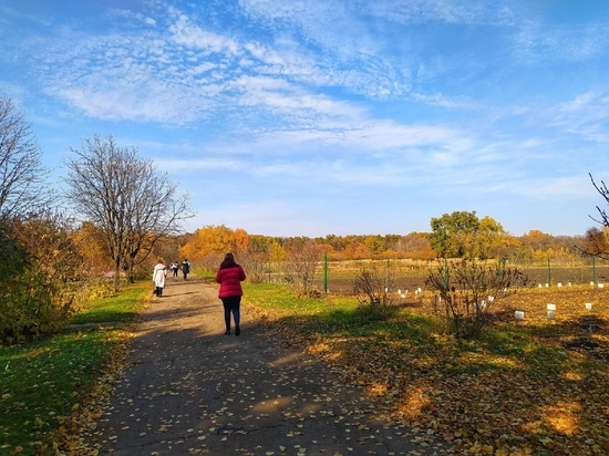 Первая неделя ноября в ДНР будет дождливой
