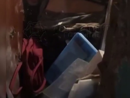 Жителя Москвы завалило горой мусора в собственной квартире