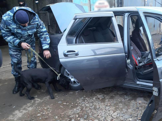 Канал поставки наркотиков в Красноярск перекрыли полицейские