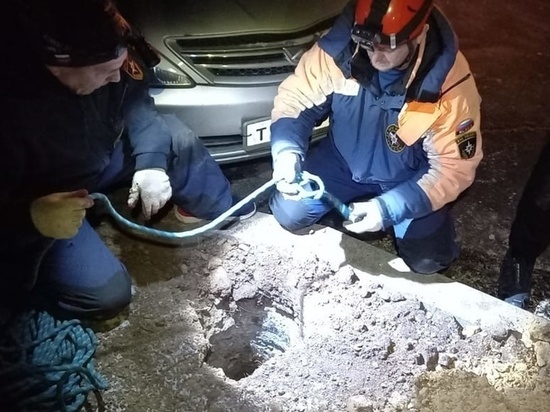 Спасатели Магадана вытащили домашнего шпица из глубокой ямы