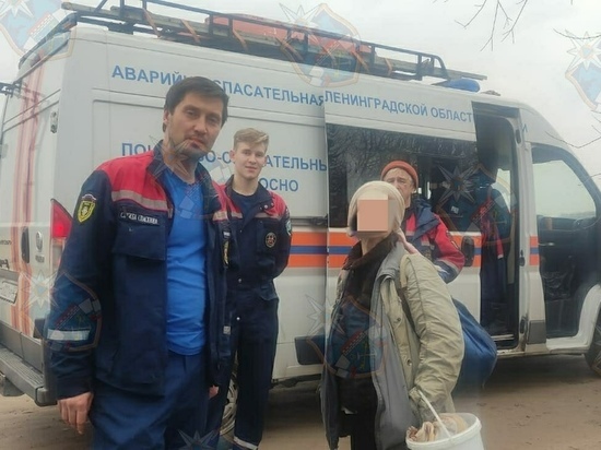 Спасатели вывели старушку из леса под Тосно