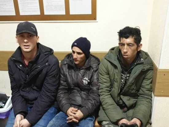 Пограничники в Ленобласти не пустили ищущих счастья в Финляндию