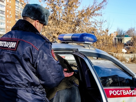 В Пензенской области задержали 11 человек, находившихся в федеральном розыске