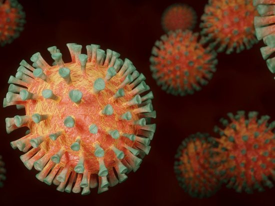 Ученых заинтересовал штамм коронавируса A.30, который может уходить от антител