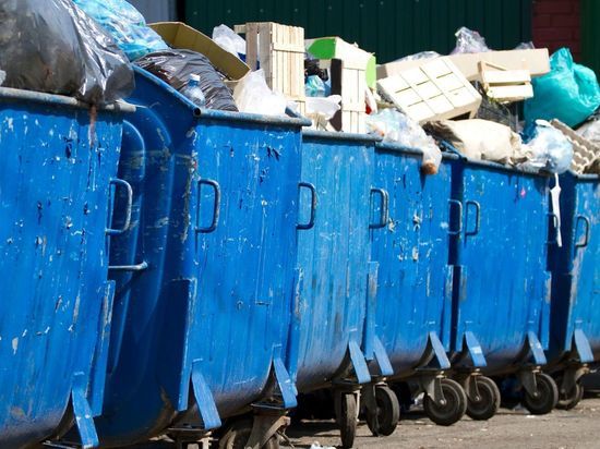 Право вывоза мусора в Кировском районе Ленобласти отдали за 703 млн рублей