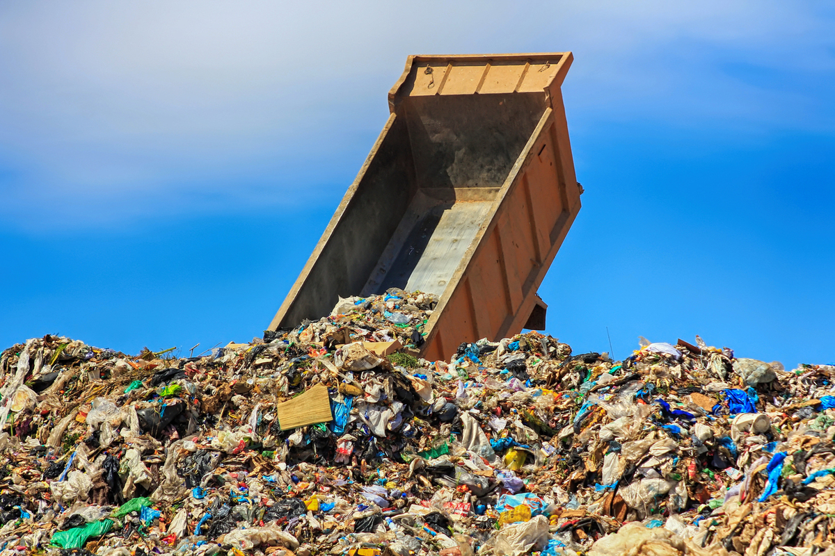 Реферат: Проблема утилизации бытовых отходов