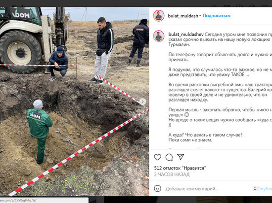Под Саратовом нашли скелет странного существа