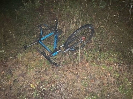 В Ростовской области велосипедист попал под колеса иномарки
