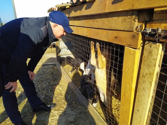 В Курской области приюту собак «Право Жить» передали более 400 кг продуктов