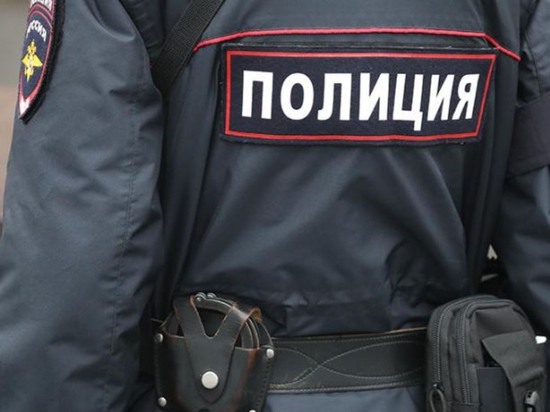 В полиции Хабаровского края напомнили о запрете ходить на публичные мероприятия 4-7 ноября